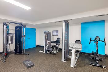 A gym with a variety of equipment including a treadmill, a stationary bike, a rowing machine, and a weight bench.
