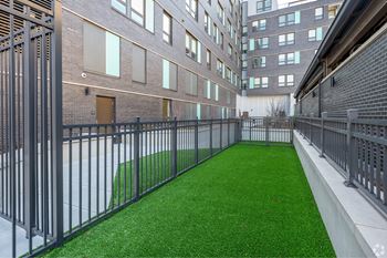 Dog run