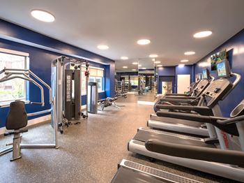 A gym with cardio equipment and weights on the floor