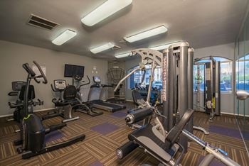 A gym with a variety of equipment including treadmills, stationary bikes, and weight machines.