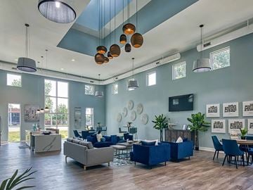 Newport News apartment for rent - A modern living room with a blue couch and a wooden floor.