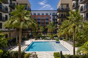 Tampa apartment for rent - A swimming pool surrounded by palm trees and apartment buildings.