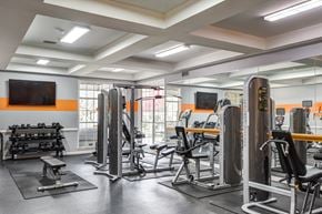 Sterling apartment for rent - Fitness Center With Modern Equipment at Cascades Overlook, Virginia, 20165