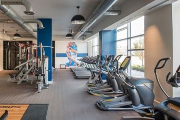 A gym with treadmills and exercise equipment.
