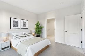 Washington apartment for rent - a white bedroom with a bed and a potted plant