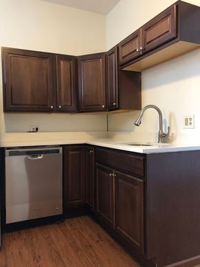 Chicago apartment for rent - Kitchen