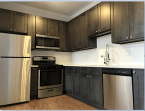 Chicago apartment for rent - Kitchen Apt #1N