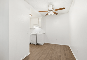 Ceiling fan
