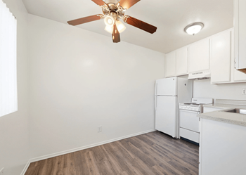 Ceiling fan