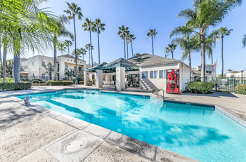 Heated pool and spa