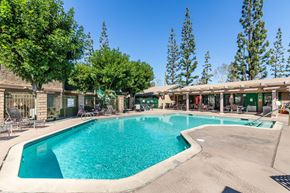 Rialto apartment for rent - A large outdoor swimming pool surrounded by trees and a covered patio area. at Heritage Park, Rialto, CA