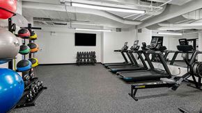 Chicago apartment for rent - Several free weights and exercise balls are stacked on the left, more weights and a television are along the far wall, and various equipment, including treadmills are on the right in the Fitness Center at Wrigleyville Lofts.