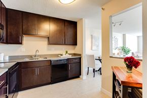Minneapolis multi-family for rent - Fully Equipped Kitchens at ELEVATE Apartment Homes, Minneapolis, 55403