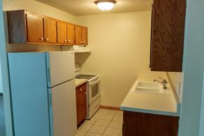 Minneapolis multi-family for rent - Kitchen  at Aldrich Avenue Apartments, Minnesota