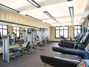 Kearny apartment for rent - A gym with a variety of equipment including treadmills, weights, and exercise machines.