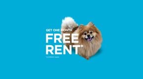 Ottawa apartment for rent - A promotional slide advertising one month free rent