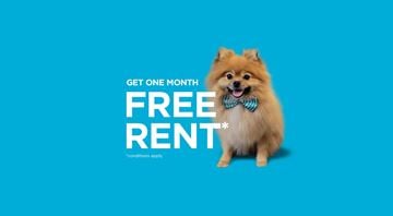 Winnipeg apartment for rent - A Pomeranian dog with a blue bow tie is featured in an advertisement for a free one-month rent offer.