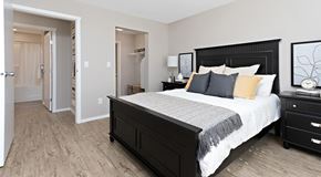 Edmonton apartment for rent - A bedroom with a queen bed, nightstand, and an opening to a walk in closet