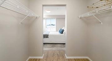 Winnipeg apartment for rent - A bedroom with a bed and a window.