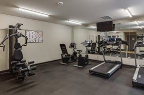 North Cowichan apartment for rent - A spacious gym with a variety of equipment including treadmills, stationary bikes, and weight machines.