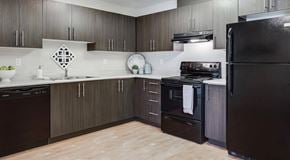 Edmonton apartment for rent - A modern kitchen with dark wood cabinets and black appliances