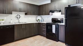 Winnipeg apartment for rent - A modern kitchen with dark wood cabinets and black appliances.