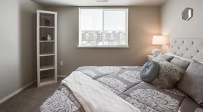 Winnipeg apartment for rent - A bedroom with a large bed and a window with blinds.