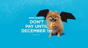 Calgary apartment for rent - A dog with bat wings is advertising a promotion to move in now and not pay until December 1st.