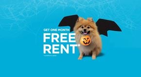 Campbell River apartment for rent - A dog with bat wings is advertising a free rent offer.