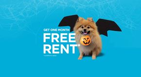 Edmonton apartment for rent - A dog with bat wings is advertising a free rent offer.