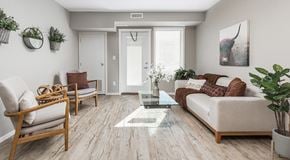 Edmonton apartment for rent - A living room with a couch, chair, long tall window next to a patio door with a window in the centre.