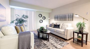 Edmonton apartment for rent - A living room with a white couch, a grey throw, a coffee table, and a plant.