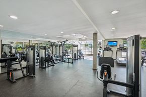 Rochester Hills townhouse for rent - Fitness center with cardio and weight machines and large windows at River Oaks at Rochester Hills Apartments.