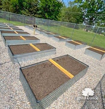 Community garden