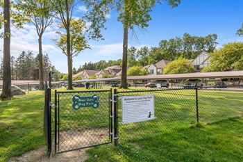 Pet park