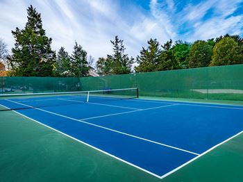 Two tennis courts