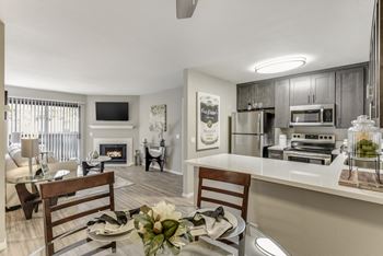 Open kitchen and living room 