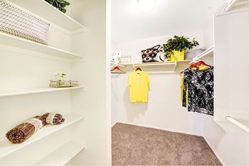 Walk in closet 
