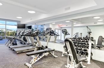 Fully equipped fitness center with cardio & strength training
