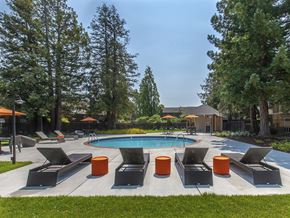 Santa Cruz apartment for rent - Santa Cruz CA Apartments for Rent - Cypress Point - Circular Pool with Gated Entry, Poolside Lounge Chairs, and Umbrellas, with Trees in the Background