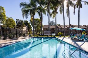 San Diego apartment for rent - A swimming pool surrounded by palm trees and lounge chairs.