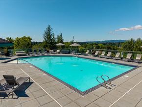 Tigard apartment for rent - A large swimming pool surrounded by lounge chairs and umbrellas.