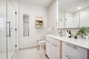 Ithaca apartment for rent - a bathroom with a shower and a sink and a toilet