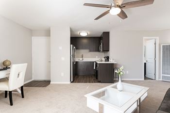 Living room and kitchen