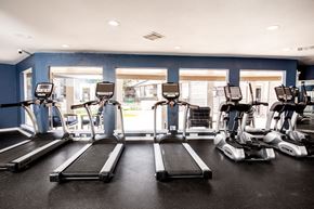 Houston apartment for rent - A gym with treadmills and elliptical machines.