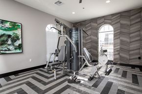 Metairie apartment for rent - A gym room with a treadmill, weights, and a painting.