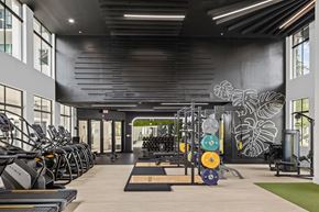 Doral apartment for rent - A gym with treadmills, weights and exercise equipment.