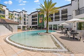 Doral apartment for rent - A palm tree stands in the middle of a pool surrounded by chairs and umbrellas.