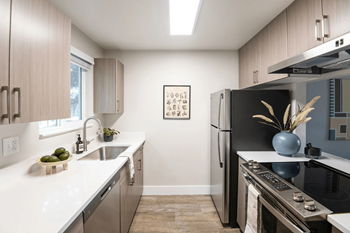 Brand new completely remodeled homes with modern styling*