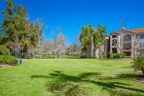 La Mesa apartment for rent - Dog Run at Central Park, La Mesa